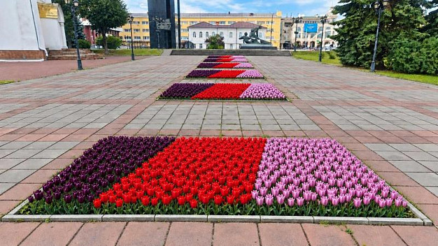 Почти 100 тысяч тюльпанов украсят Иваново весной